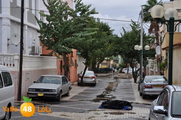 yaffa rain 1211 (43).JPG